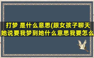 打梦 是什么意思(跟女孩子聊天她说要我梦到她什么意思我要怎么回复)